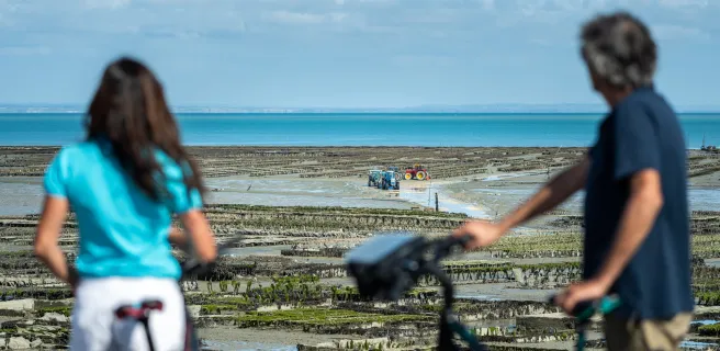 Cancale / Le Vivier-sur-Mer